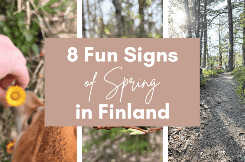 Spring in Finland: A collage of three springtime nature scenes, featuring blooming flowers and green forests. The image has a text overlay that reads '8 Fun Signs of Spring in Finland'.
